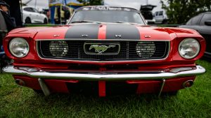 LT9_0389